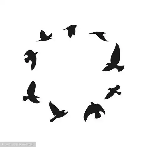 一群鸟的剪影,黑色的轮廓