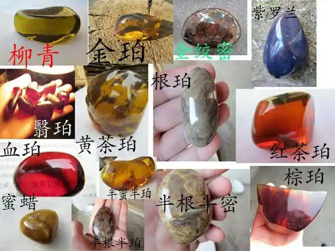 琥珀分类《大头课堂》