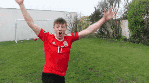 足球兴奋草地踢球gif动图_动态图_表情包下载_soogif