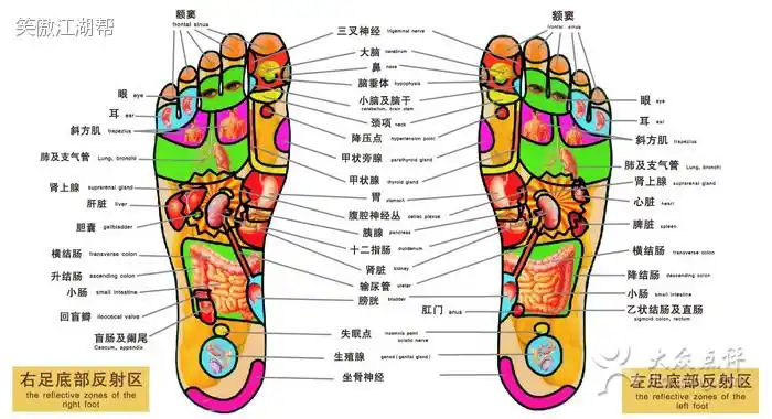 云南白药 反射区按摩治疗甲状腺肌瘤