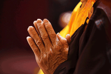 410_272gif 动态图 动图