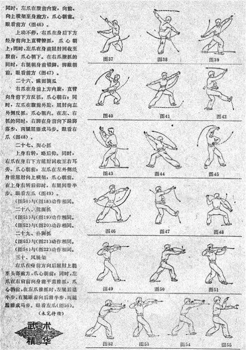 少林十三抓单趟