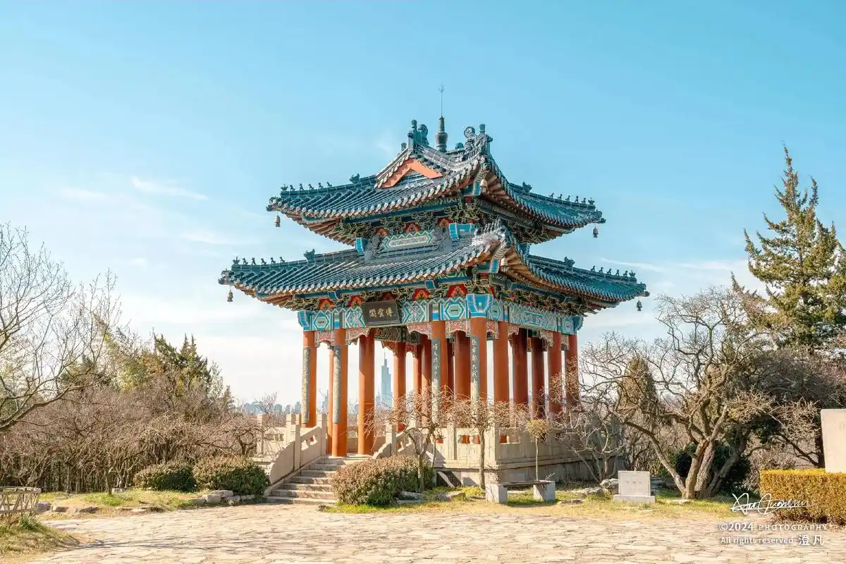 明孝陵文武方门两侧的腊梅已经盛 - 抖音