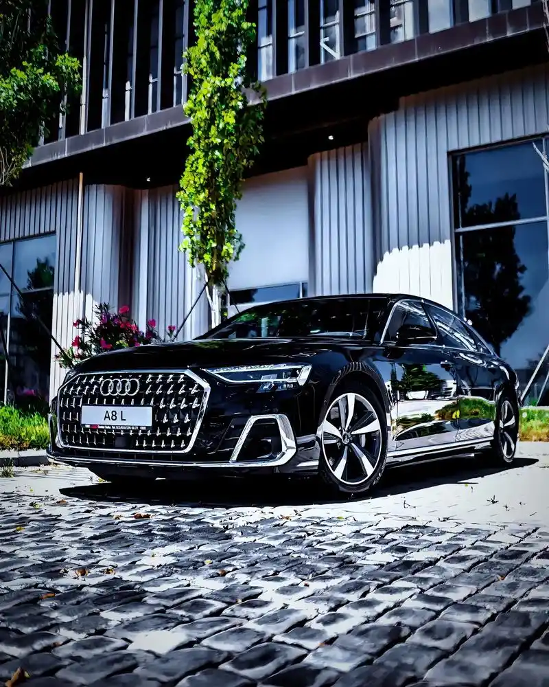 与独处相安 与万事言和.#奥迪a8霍希版 #奥迪a8 - 抖音