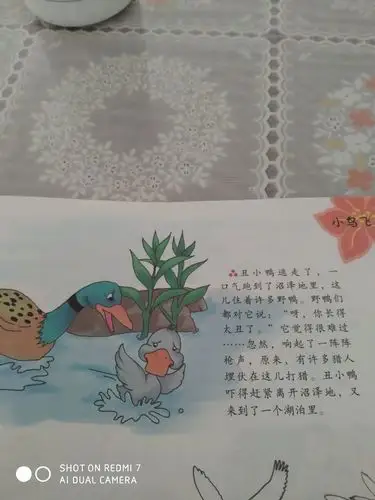 "停课不停学"万山幼儿园中班假期指导活动——绘本故事《丑小鸭》