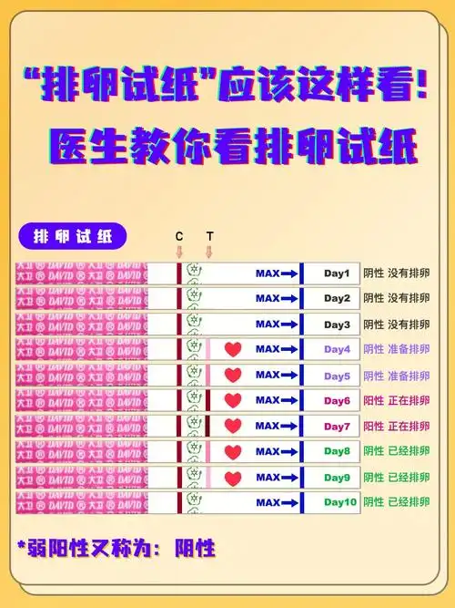 排卵试纸怎么看 ︱医师来教你