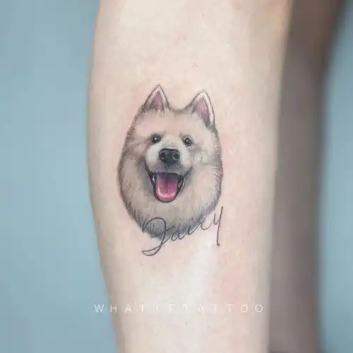 78小天使萨摩耶宠物纹身07深圳纹身