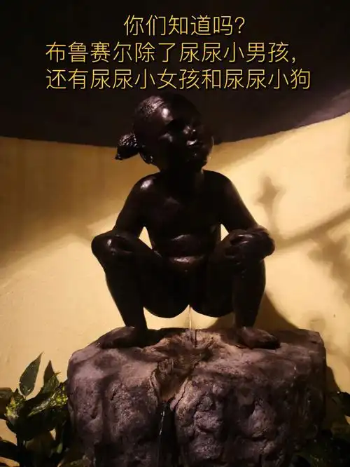 打算用炸药摧毁这座美丽的城市,幸好一个小男孩出来夜尿,浇灭了导火线