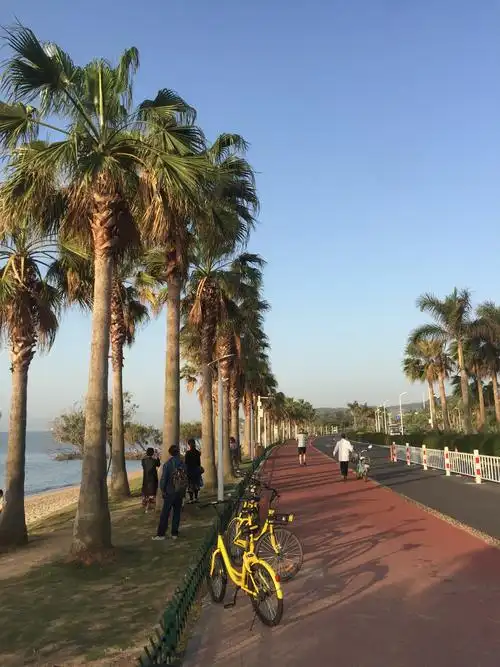 厦门环岛路观景