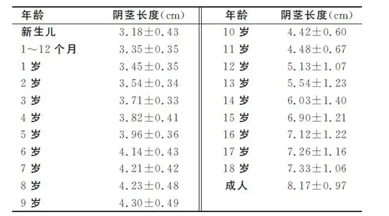 可对比阴茎长度表4. 阴茎背侧测量3. 按压耻骨上脂肪2.