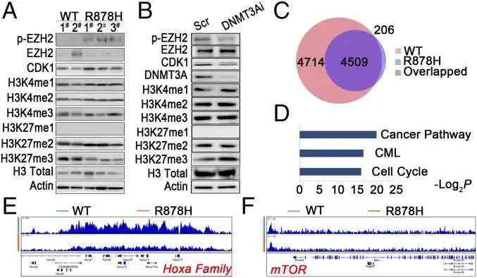 chip-seq