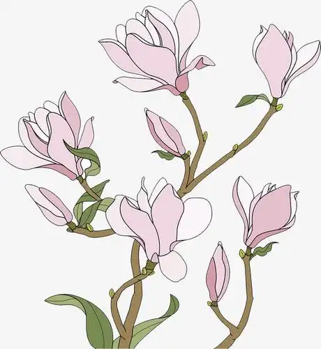 手绘插图花开冒新枝芽