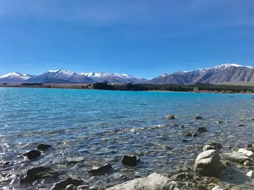 美丽的新西兰(钟启恒)