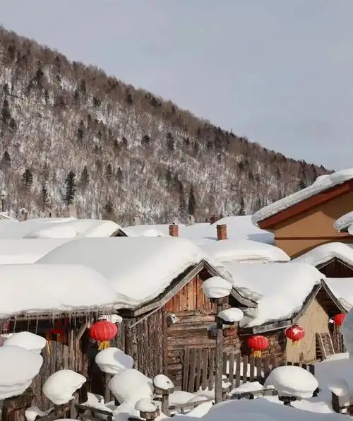 玩雪天花板|哈尔滨吃住行详细旅游攻略