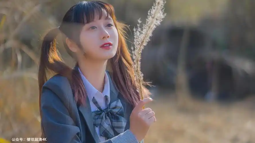 双马尾的jk少女漂亮写真-美女壁纸 - 壁纸家