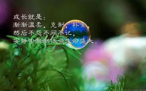 10句精辟生活感悟句子