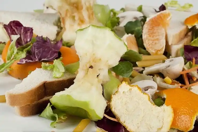 推行垃圾分类制度后各地厨余垃圾处理状况