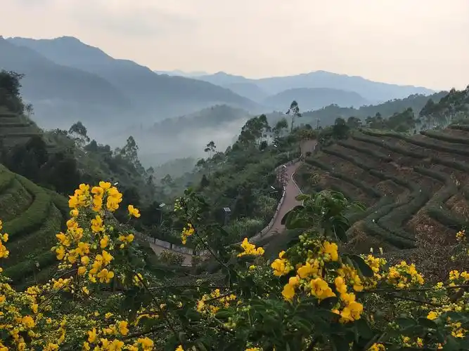 平和高峰谷风景区