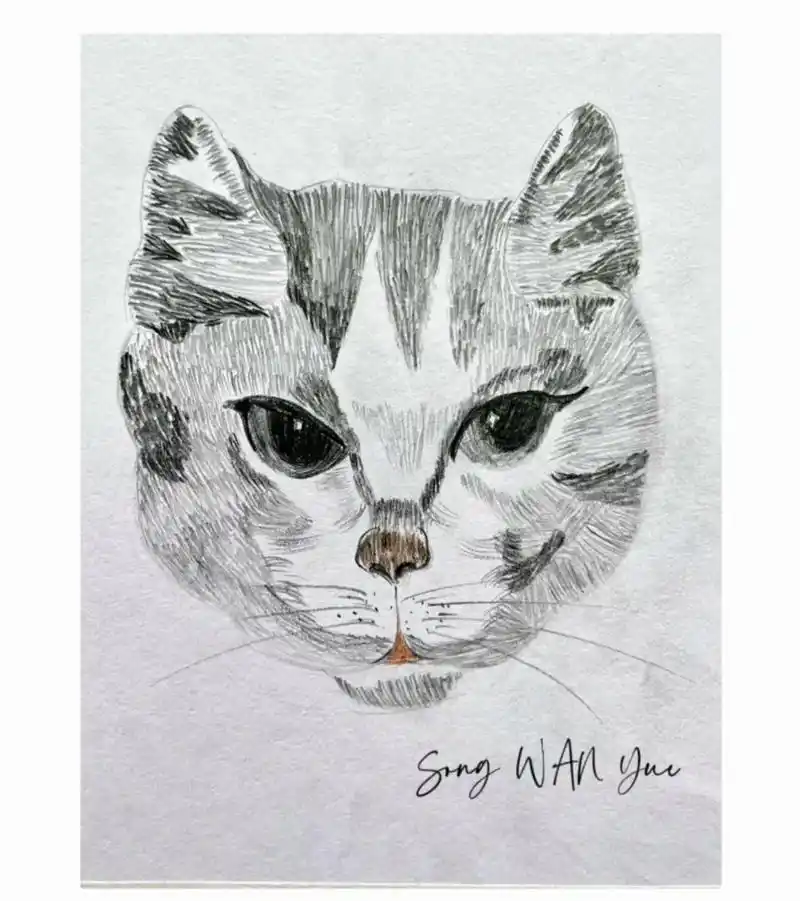 精微素描——猫 工笔画——牡丹 爱画画的孩子 - 抖音