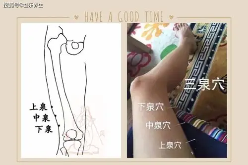 董氏针灸病症处方——面瘫处方