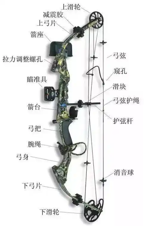 【射箭知识】中外复合弓最权威教学视频,激发原理视屏及各部件介绍