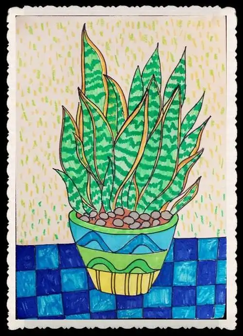 四小美术三年级第十二课植物写生—虎皮兰