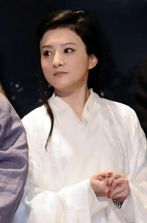 天龙八部段正淳的女人之修罗刀秦红棉