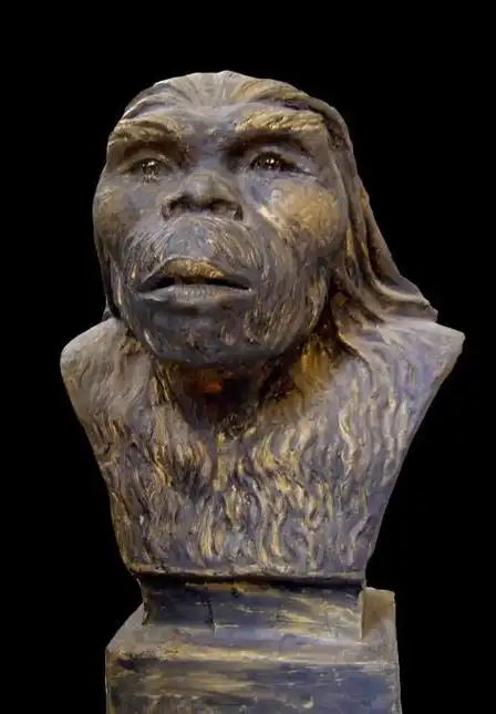 地区旧石器时代早期的人类化石,是迄今所知中国境内年代最早的直立人