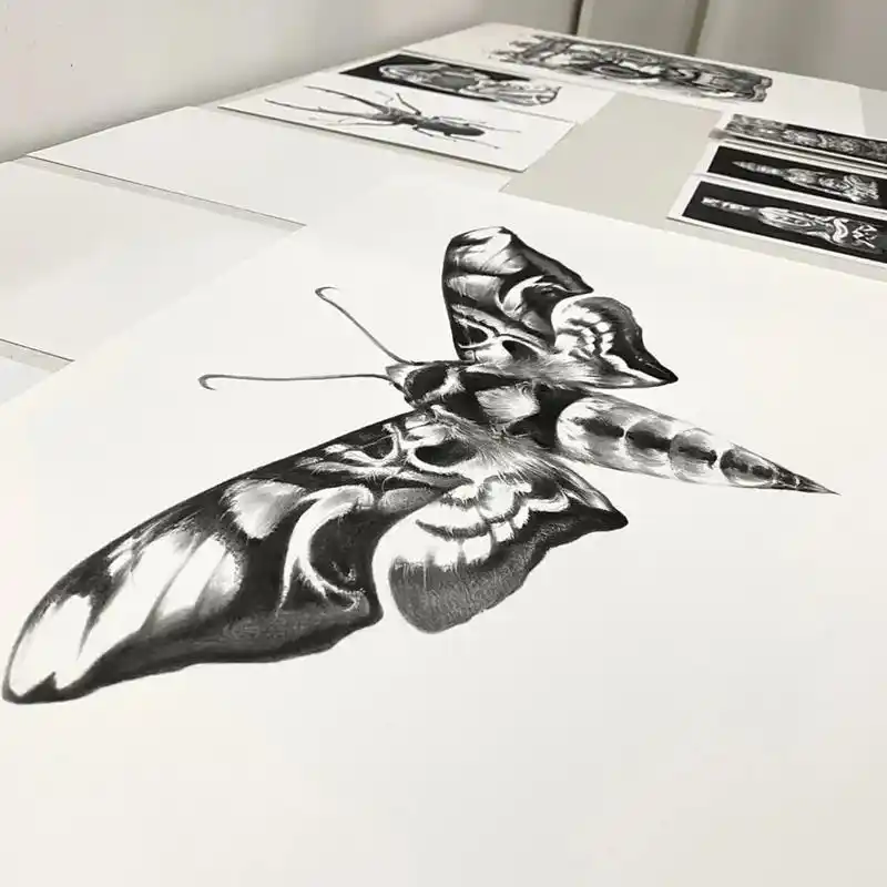 蛾子   ,#画 #素描 #高级黑 - 抖音