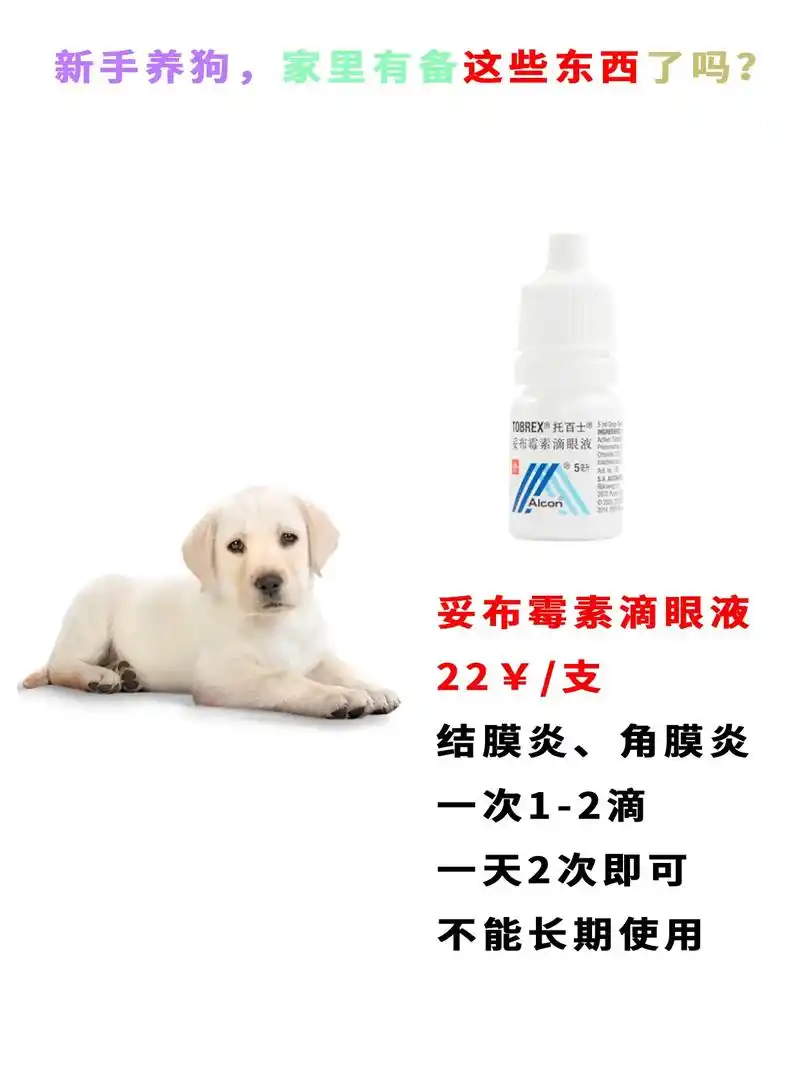 妥布霉素滴眼液:结膜炎,角膜炎 - 抖音