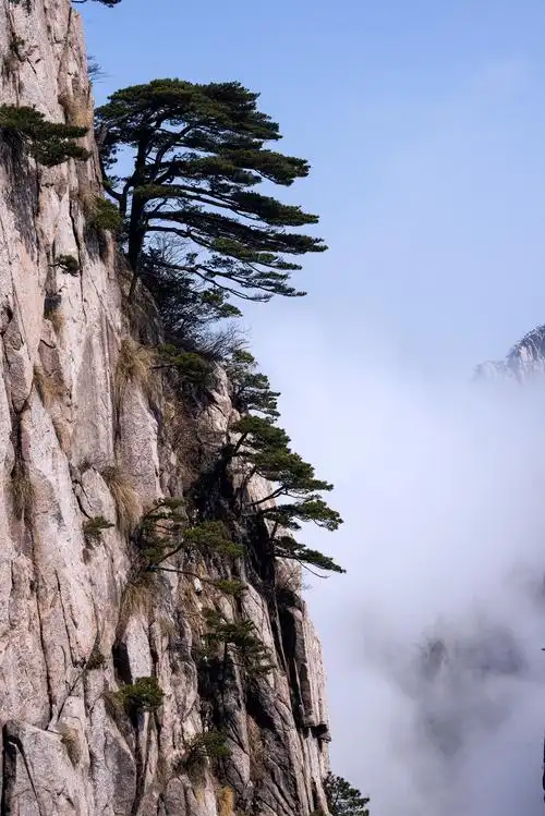 还有不一样的黄山--蜂鸟论坛照片套图