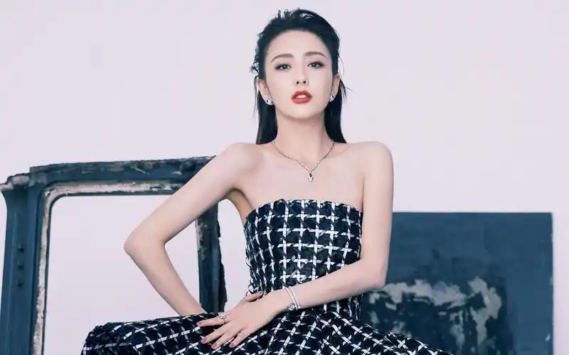 佟丽娅格子抹胸裙图片