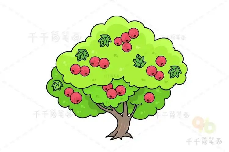 山楂树简笔画图片