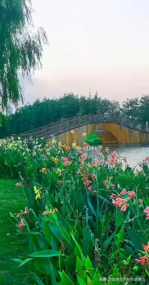 写景的句子优美段落摘抄(赞美大自然美景的优美诗句段落) _力贝号