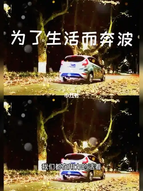 为了生活而奔波