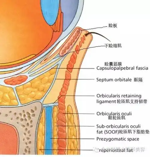 眼袋整形的方法