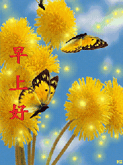 180_241gif 动态图 动图