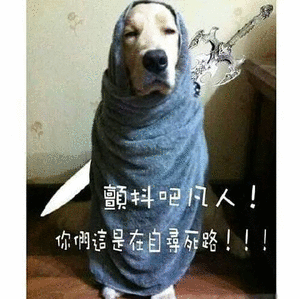 颤抖吧凡人! 你这是在自寻死路!