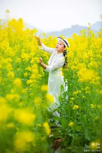 瓯北油菜花人像外拍