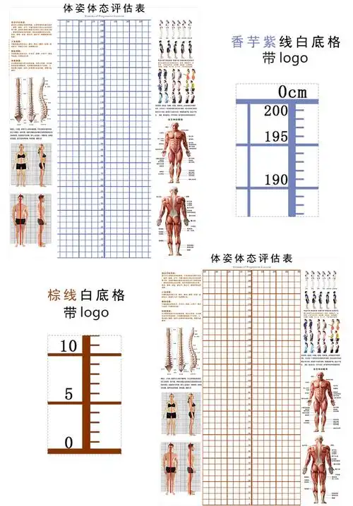 现货体态评估图瑜伽 体姿体态评估系统中医理疗馆脊椎姿势对比图 黑宽
