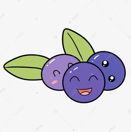 蓝莓水果表情