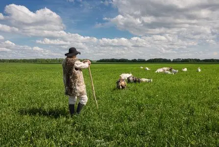 牧羊人和群山羊照片