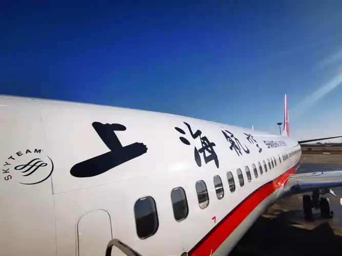 落地满洲里到岗上疫线阿拉善公安援满突击队平安抵达主战场