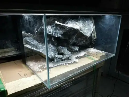 原生背景板造景的魅力,60卷贝,巨石下的