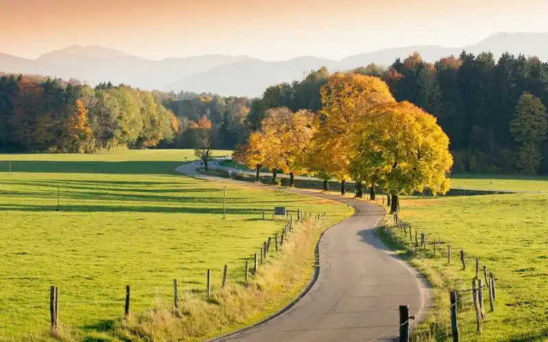 自然美景,自然风光,树木,弯曲小路,唯美美景,风光,壁纸自然美景弯曲