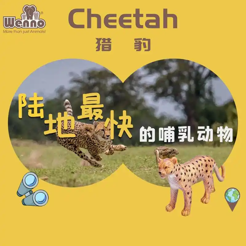 wenno动物知识百科.陆地最快的哺乳动物—猎豹90 它是食 - 抖音