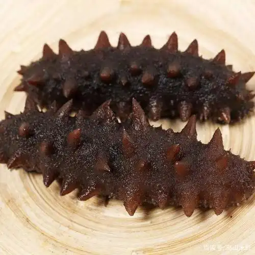 你吃的是什么海参你知道吗?