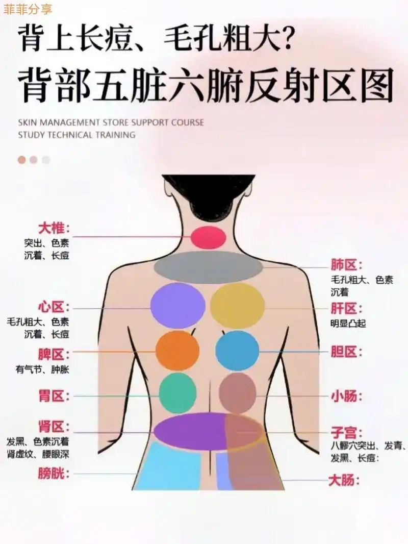 背部五脏六腑反射区#增强抵抗力提高免疫力  #今日分享 #传 - 抖音