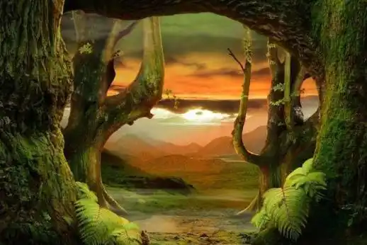 《阿凡达》中的奇幻森林不仅电影中有,哀牢山也可以给你震撼的视觉