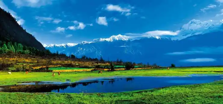 易贡国家地质公园